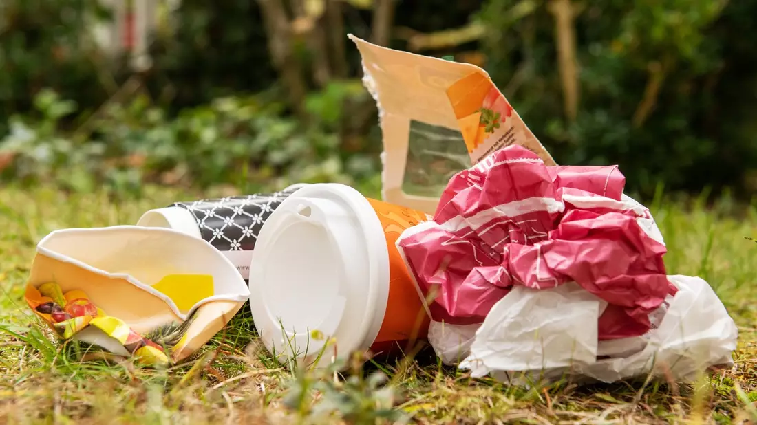 Pause im Park: Bitte ohne Müll / Zum Weltumwelttag am 5. Juni ruft die Initiative Mülltrennung wirkt dazu auf, umweltschädliches Littering von Verpackungen zu vermeiden - Bild: presseportal.de
