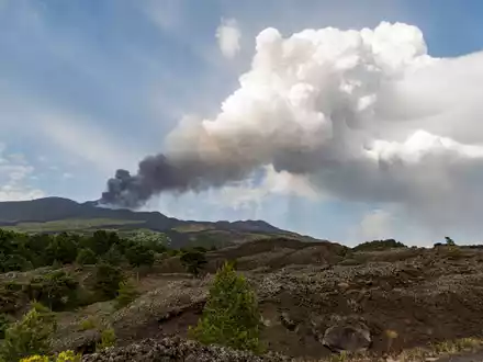 Der etwa 3.350 Meter hohe Ätna bricht mehrmals im Jahr aus und wird von Fachleuten ständig überwacht. (Archivbild) - Foto: Salvatore Allegra/AP/dpa