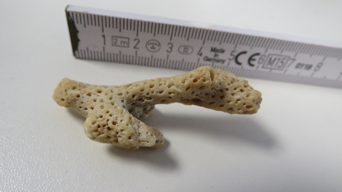 HZA-HN: Urlaubserinnerungen aus 