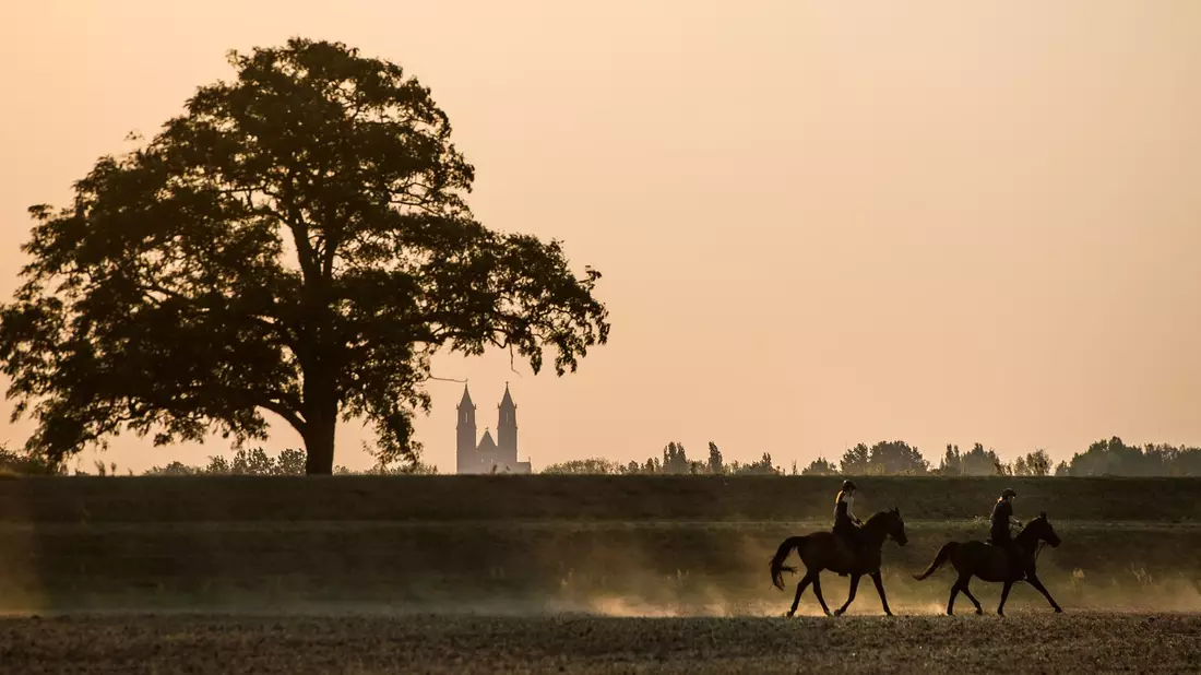 Rauch aus Kanada kann die Luft trüb wirken lassen und zu spektakulären Sonnenuntergängen führen. (Illustration) - Bild: picture alliance / dpa