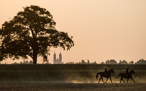 Rauch aus Kanada kann die Luft trüb wirken lassen und zu spektakulären Sonnenuntergängen führen. (Illustration) - Foto: picture alliance / dpa