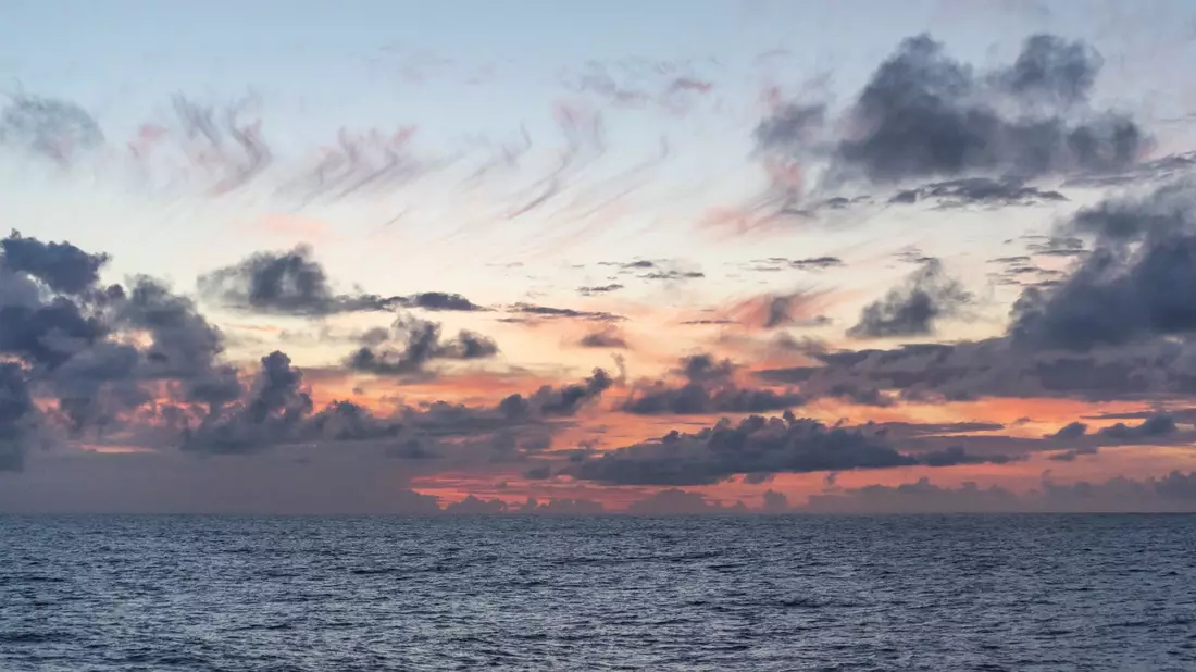 Ein Rosetten-Wasserprobenehmer an Bord des Forschungsschiffs. Mit einem solchen Gerät wurden die Wasserproben im Nordpazifik genommen.  - Bild: Ryan Tabata/University of Hawaii at Manoa/dpa