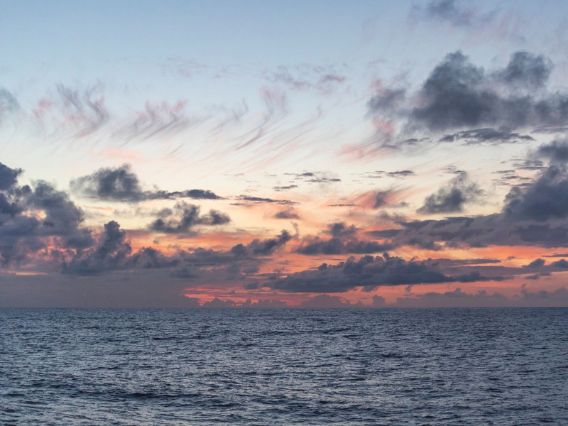 Ein Rosetten-Wasserprobenehmer an Bord des Forschungsschiffs. Mit einem solchen Gerät wurden die Wasserproben im Nordpazifik genommen.  - Foto: Ryan Tabata/University of Hawaii at Manoa/dpa