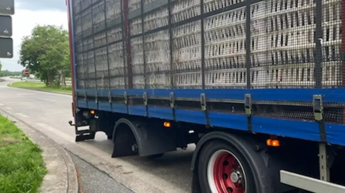 POL-CUX: Geflügeltransport stillgelegt - Bild: presseportal.de