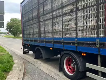 POL-CUX: Geflügeltransport stillgelegt - Foto: presseportal.de
