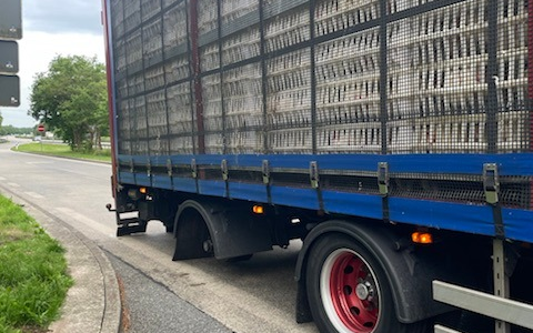 POL-CUX: Geflügeltransport stillgelegt - Foto: presseportal.de