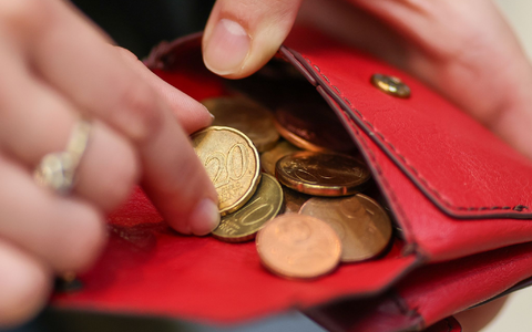 Mehr Kaufkraft: Reallöhne erneut gestiegen (Symbolbild) - Foto: Jan Woitas/dpa