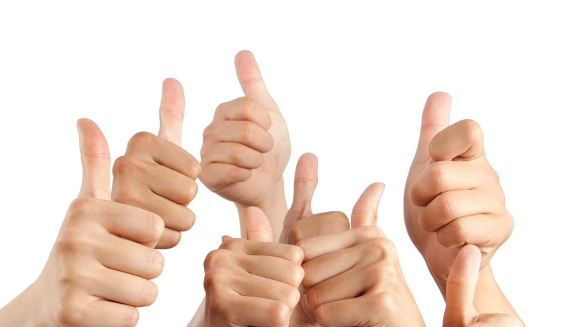 Osteopathie-Allianz zur geplanten gesetzlichen Regelung: Ein Berufsgesetz für die Osteopathie schafft viele Gewinner - Foto: presseportal.de