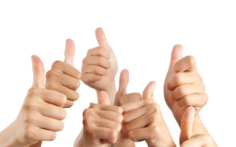 Osteopathie-Allianz zur geplanten gesetzlichen Regelung: Ein Berufsgesetz für die Osteopathie schafft viele Gewinner - Foto: presseportal.de