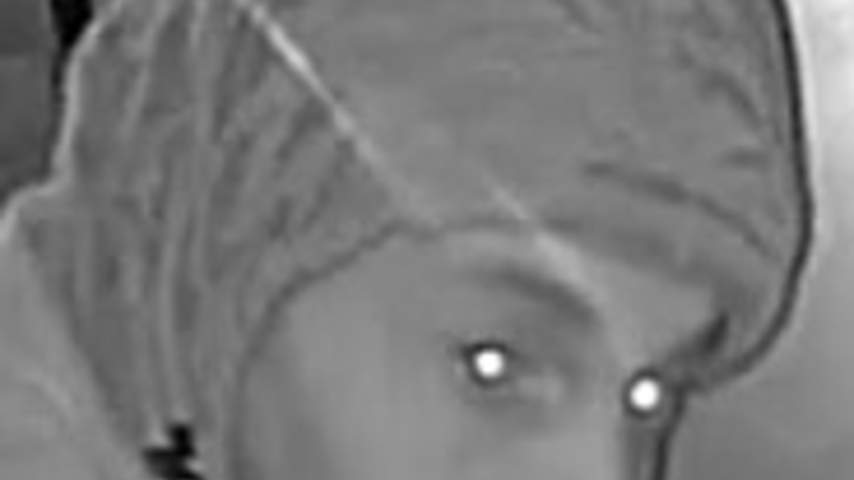 POL-WI: Erneute Öffentlichkeitsfahndung nach männlichem Täter zu einer Einbruchserie - Foto: presseportal.de