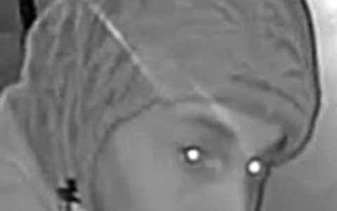 POL-WI: Erneute Öffentlichkeitsfahndung nach männlichem Täter zu einer Einbruchserie - Foto: presseportal.de