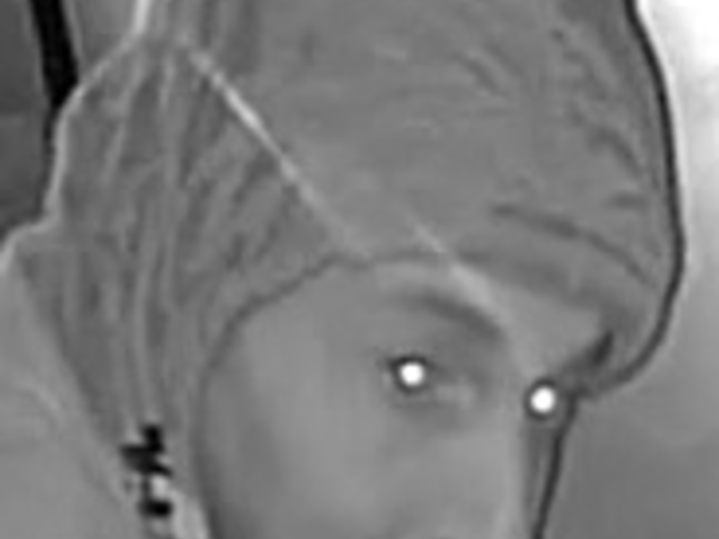 POL-WI: Erneute Öffentlichkeitsfahndung nach männlichem Täter zu einer Einbruchserie - Foto: presseportal.de