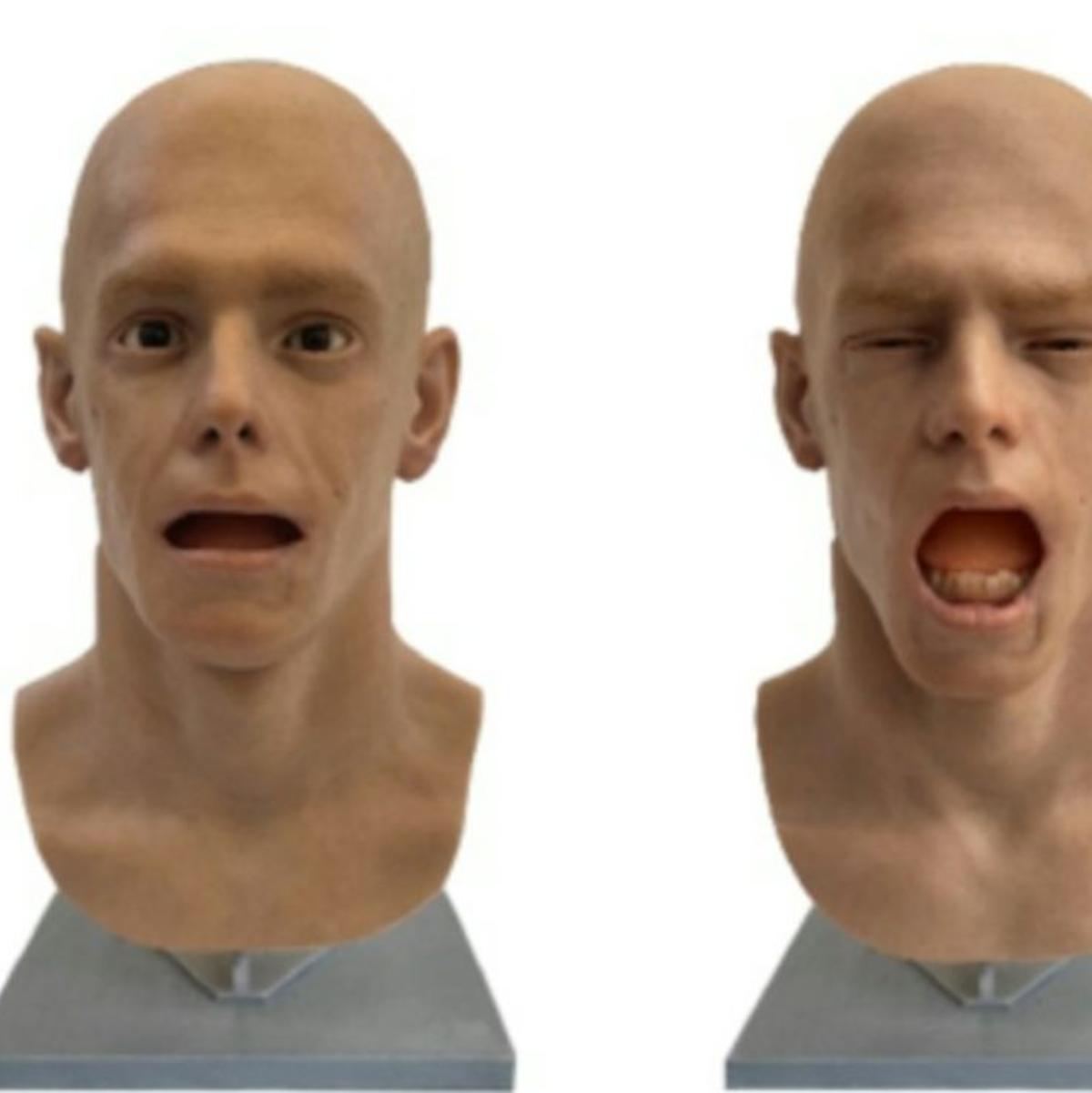 Gähnen ist ansteckend - selbst wenn ein Roboterkopf der Auslöser ist. (Handout) - Foto: --/Aline Sardin-Damasso & Mona./dpa