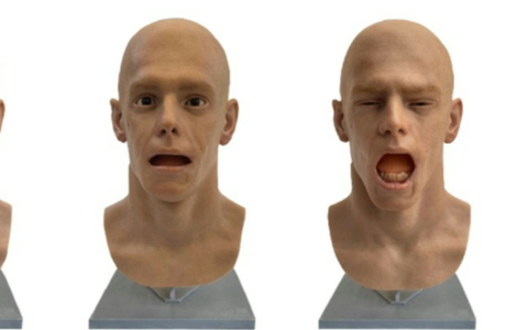 Gähnen ist ansteckend - selbst wenn ein Roboterkopf der Auslöser ist. (Handout) - Foto: --/Aline Sardin-Damasso & Mona./dpa Gähnen ist ansteckend - selbst wenn ein Roboterkopf der Auslöser ist. (Handout) - Foto: --/Aline Sardin-Damasso & Mona./dpa