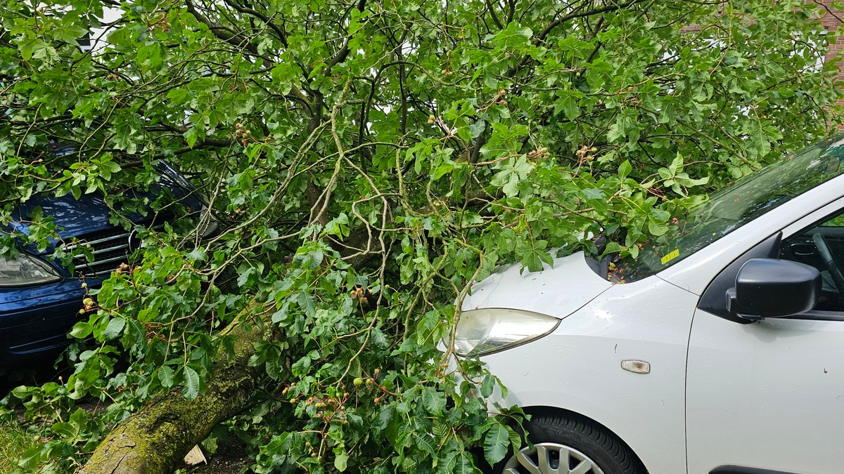 FW Bocholt: Drei wetterbedingte Einsätze nach Unwetter im Bocholter Norden - Foto: presseportal.de