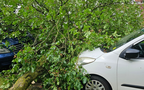 FW Bocholt: Drei wetterbedingte Einsätze nach Unwetter im Bocholter Norden - Foto: presseportal.de