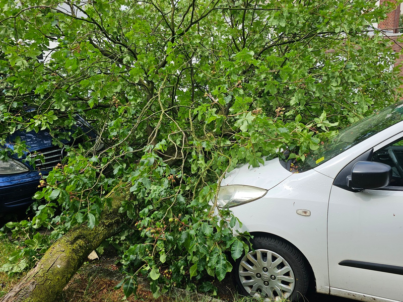 FW Bocholt: Drei wetterbedingte Einsätze nach Unwetter im Bocholter Norden - Foto: presseportal.de