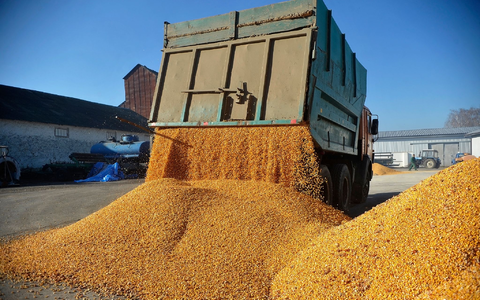 Günstige Agrarimporte aus der Ukraine sorgten für Unmut bei Bauern in der EU. (Archivbild)  - Foto: ---/Ukrinform/dpa