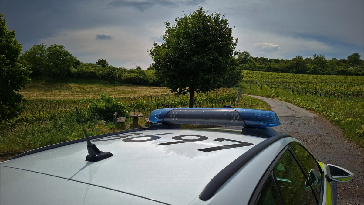 POL-PDNW: Verkehrsunfall mit verletzter Motorradfahrerin - Foto: presseportal.de