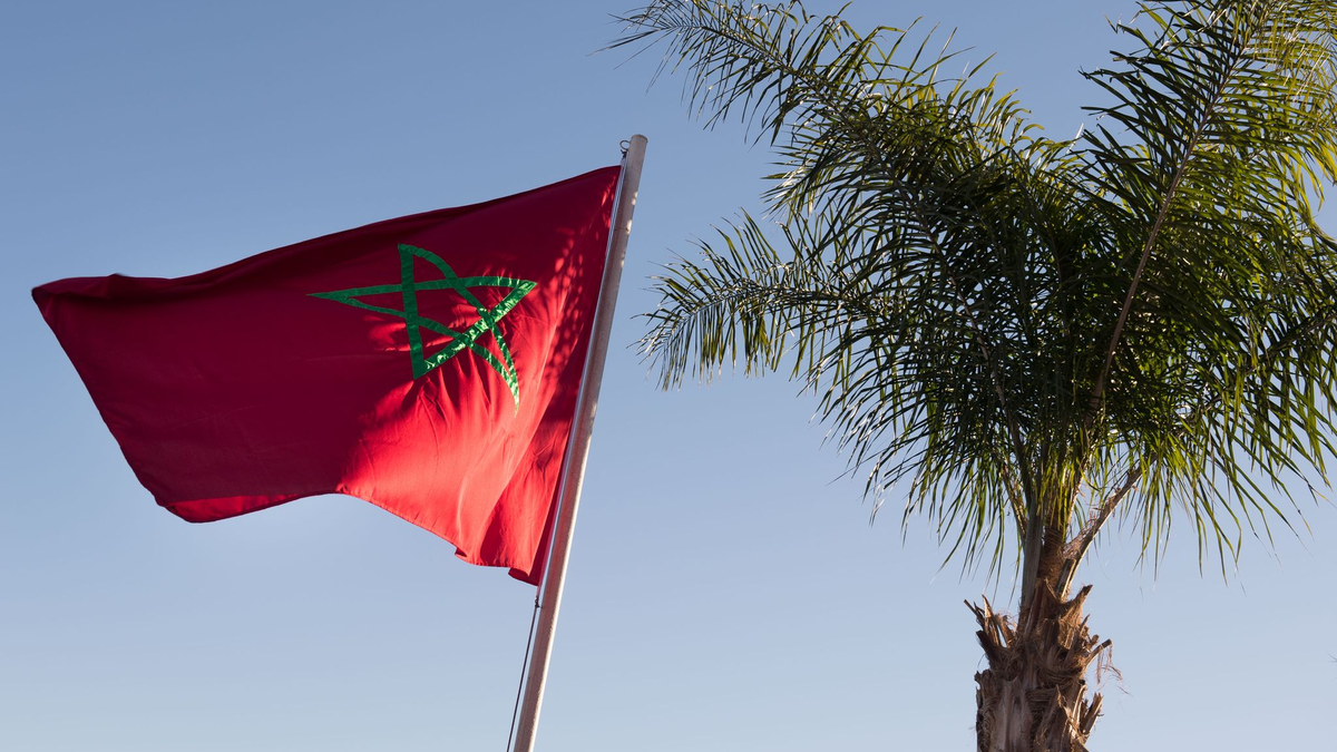 In Marokko sollen die Menschen in diesem Jahr auf das Schlachtopferritual verzichten. (Archivfoto) - Foto: Lukas Schulze/dpa