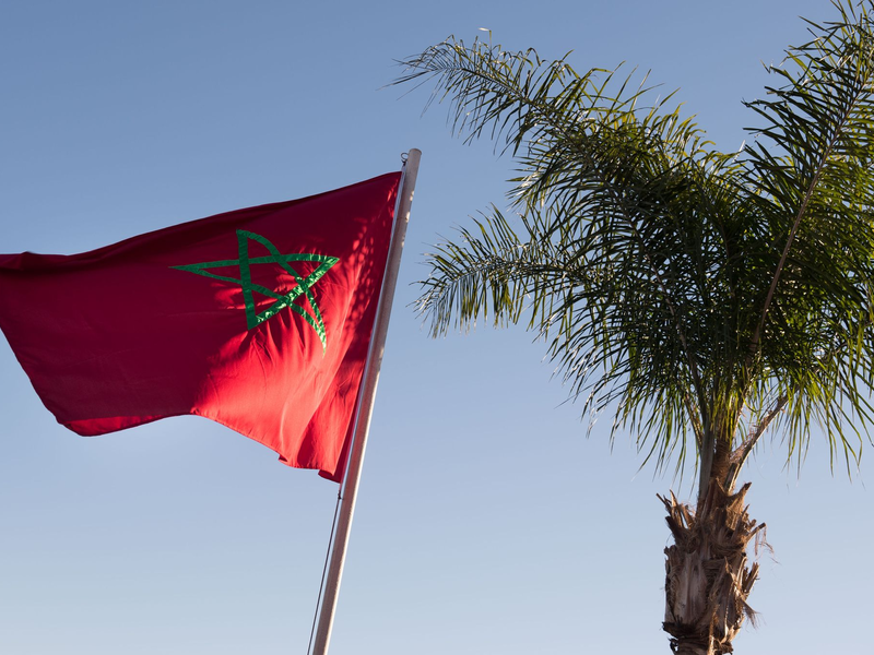 In Marokko sollen die Menschen in diesem Jahr auf das Schlachtopferritual verzichten. (Archivfoto) - Foto: Lukas Schulze/dpa