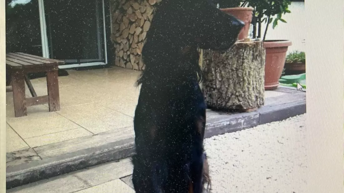 POL-SO: Suche nach vermisstem 63-jährigen - Bild: presseportal.de