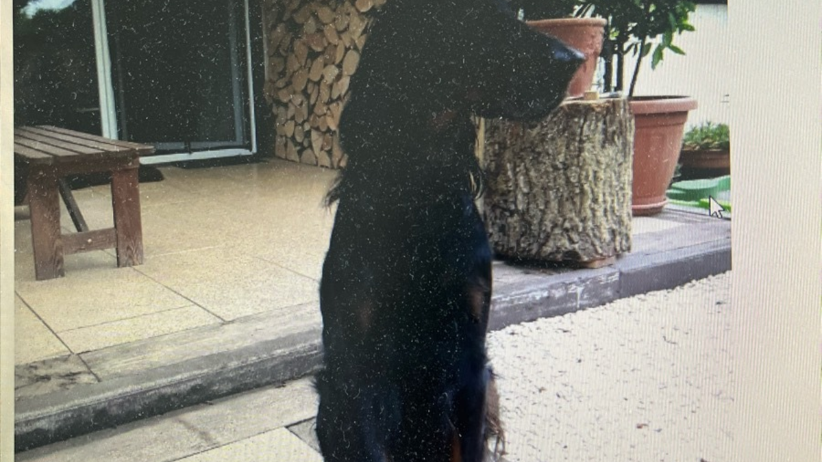 POL-SO: Suche nach vermisstem 63-jährigen - Foto: presseportal.de