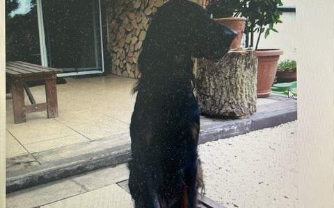 POL-SO: Suche nach vermisstem 63-jährigen - Foto: presseportal.de