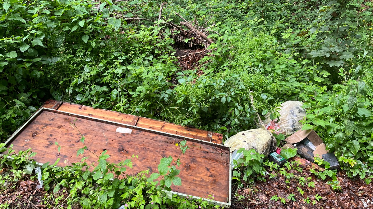 POL-HM: Unzulässige Müllablagerung an der L434 - Polizei sucht Zeugen - Foto: presseportal.de