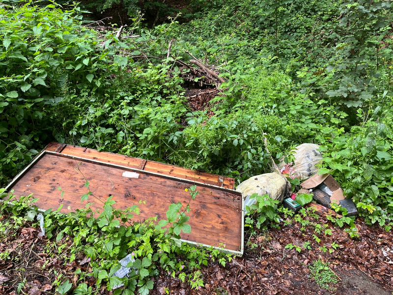 POL-HM: Unzulässige Müllablagerung an der L434 - Polizei sucht Zeugen - Foto: presseportal.de