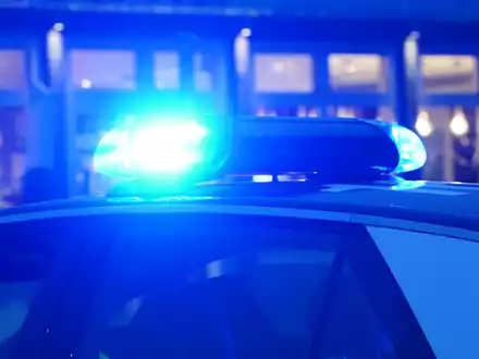 Gesundheitliche Gründe sollen nach Polizeiangaben die Ursache des Unfalls sein. (Symbolbild) - Foto: Marcus Brandt/dpa