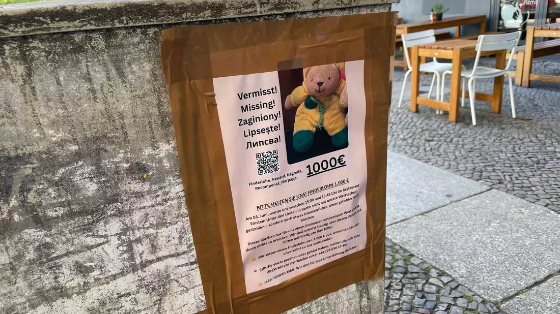 1.000 Euro Finderlohn sind auf Steckbriefen ausgesetzt. (Archivbild) - Bild: Christof Bock/dpa