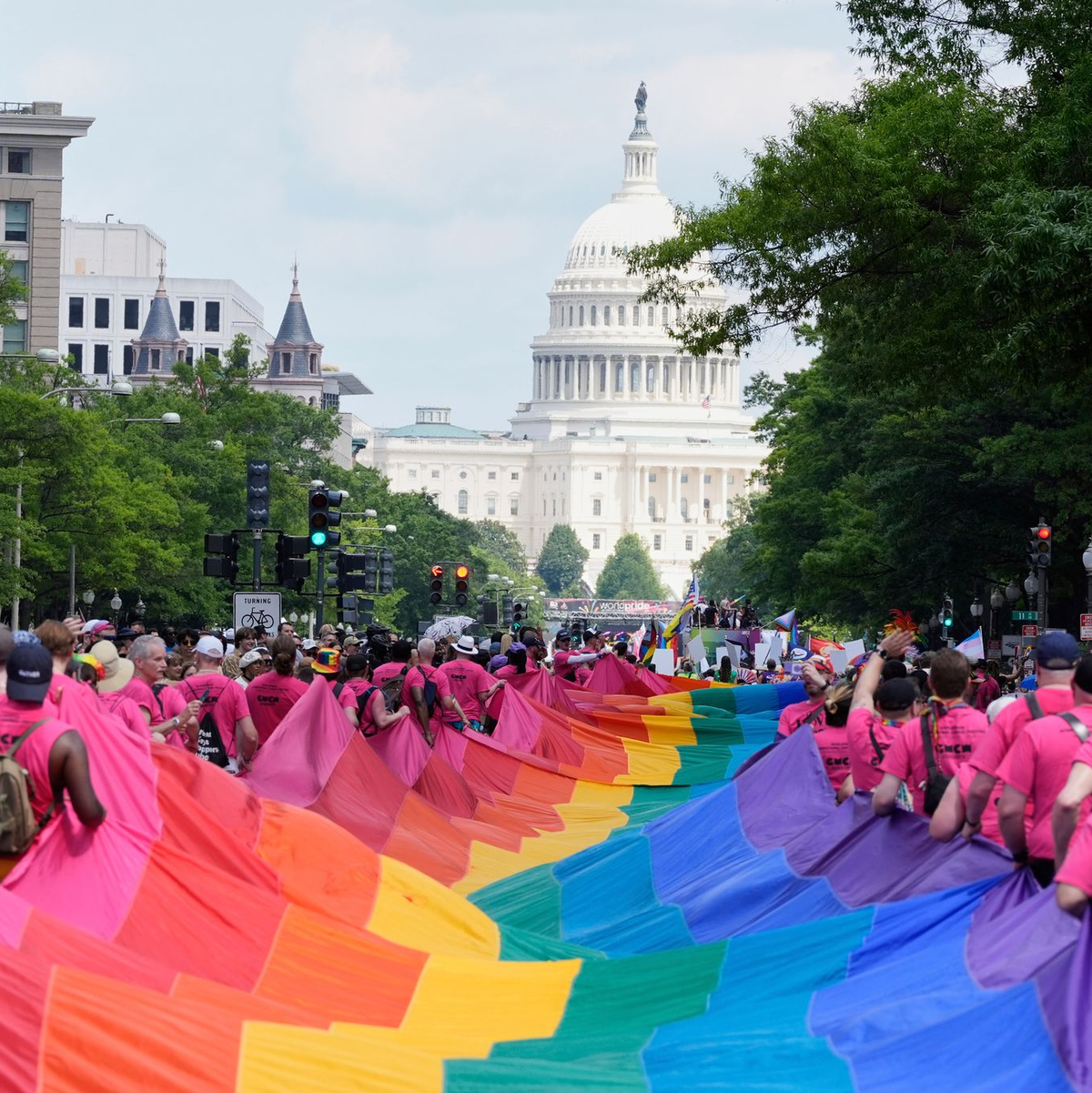 Auf dem Plakat eines Pride-Teilnehmers steht: «Diese Farben verstecken sich nicht vor Faschisten».  - Foto: Mark Schiefelbein/AP/dpa