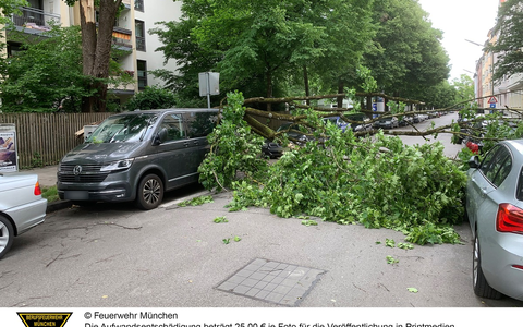 FW-M: Herabfallender Ast beschädigt mehrere Fahrzeuge (Neuhausen) - Foto: presseportal.de
