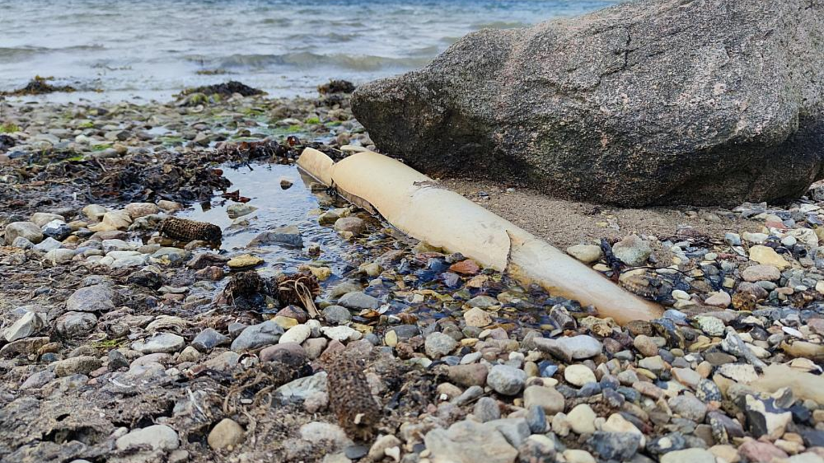 Abwasserrohr ins Meer (Archiv) - Foto: über dts Nachrichtenagentur