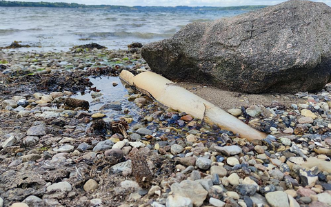 Abwasserrohr ins Meer (Archiv) - Foto: über dts Nachrichtenagentur