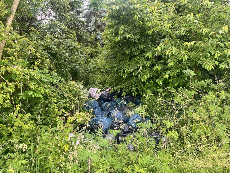 POL-HI: Wochenendpressemeldung des Polizeikommissariats Elze für den Zeitraum vom 07.06.-09.06.2025 - Foto: presseportal.de