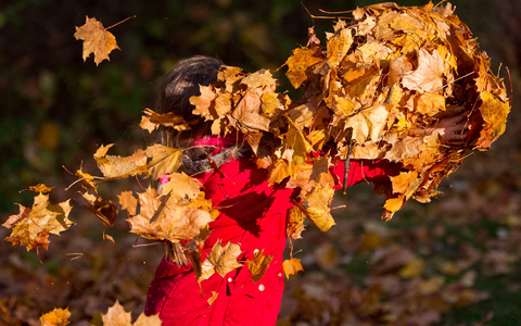 Kindern fehlt es zum Teil an Freiräumen, aber auch an geeigneten Plätzen fürs Spielen. (Archivbild) - Foto: Patrick Pleul/dpa-Zentralbild/dpa