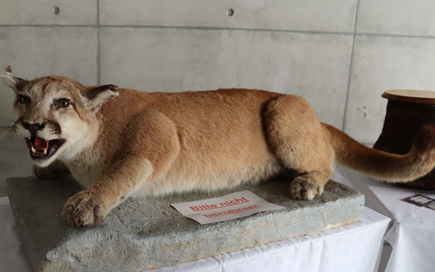 HZA-R: Zoll lädt zum Informationstag nach Hof ein - Blick hinter die Kulissen eines spannenden Berufs - Foto: presseportal.de