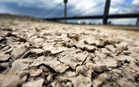 Der Mai war der zweitwärmste, der bisher gemessen wurde (Archivbild). - Foto: Federico Gambarini/dpa