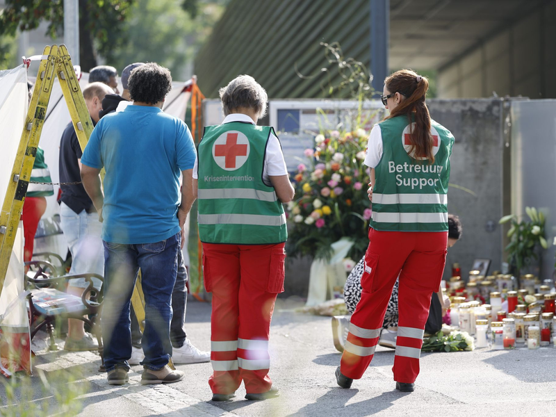 Das Staatsoberhaupt bringt sich in die Waffen-Debatte ein. - Foto: Erwin Scheriau/APA/dpa