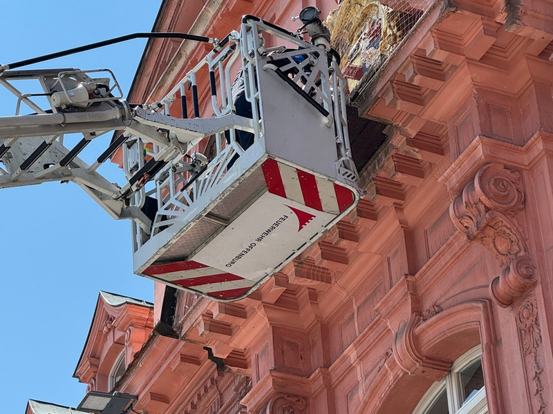 FW-OG: Tierischer Flugtag bei der Feuerwehr - Foto: presseportal.de