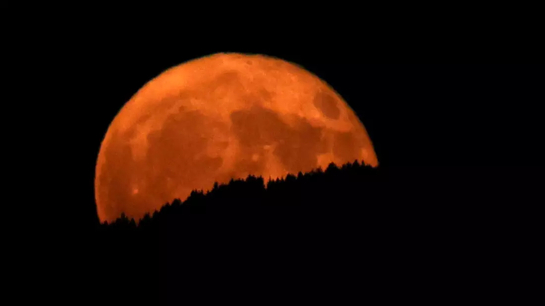 In Oberbayern wirkte der aufgehende Erdbeermond hinter dunklen Wäldern besonders groß. - Bild: Karl-Josef Hildenbrand/dpa