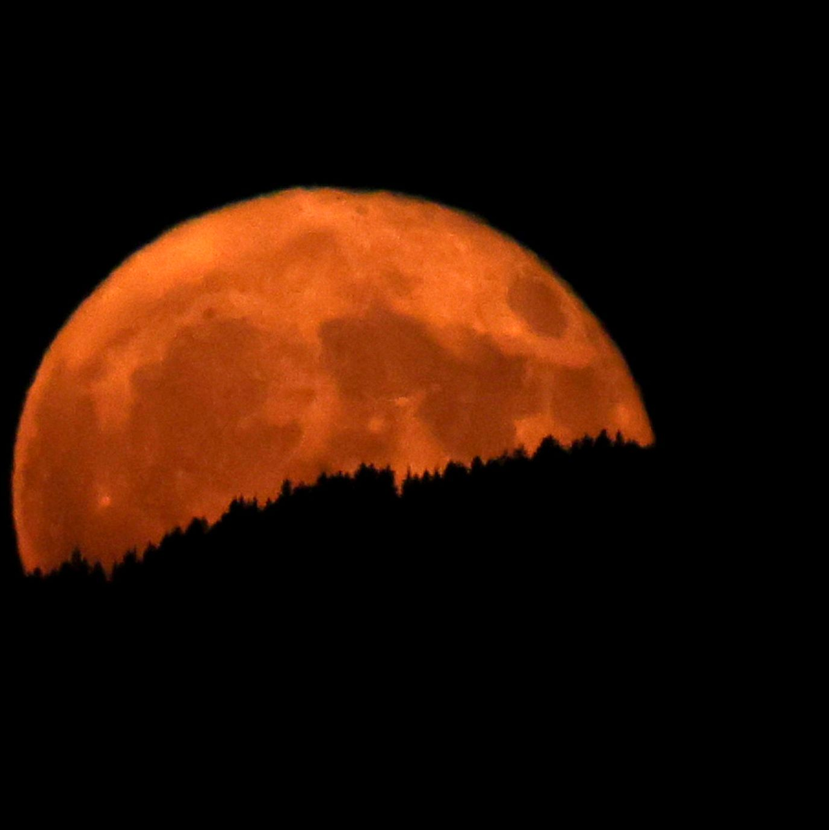 In Oberbayern wirkte der aufgehende Erdbeermond hinter dunklen Wäldern besonders groß. - Foto: Karl-Josef Hildenbrand/dpa