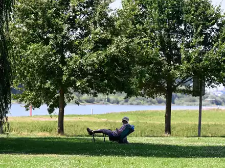 Ein Mann hat sich ein schattiges Plätzchen am Ufer des Rheins in Leverkusen gesucht. (Archivbild) - Foto: Roberto Pfeil/dpa