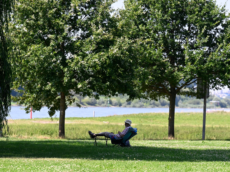 Ein Mann hat sich ein schattiges Plätzchen am Ufer des Rheins in Leverkusen gesucht. (Archivbild) - Foto: Roberto Pfeil/dpa