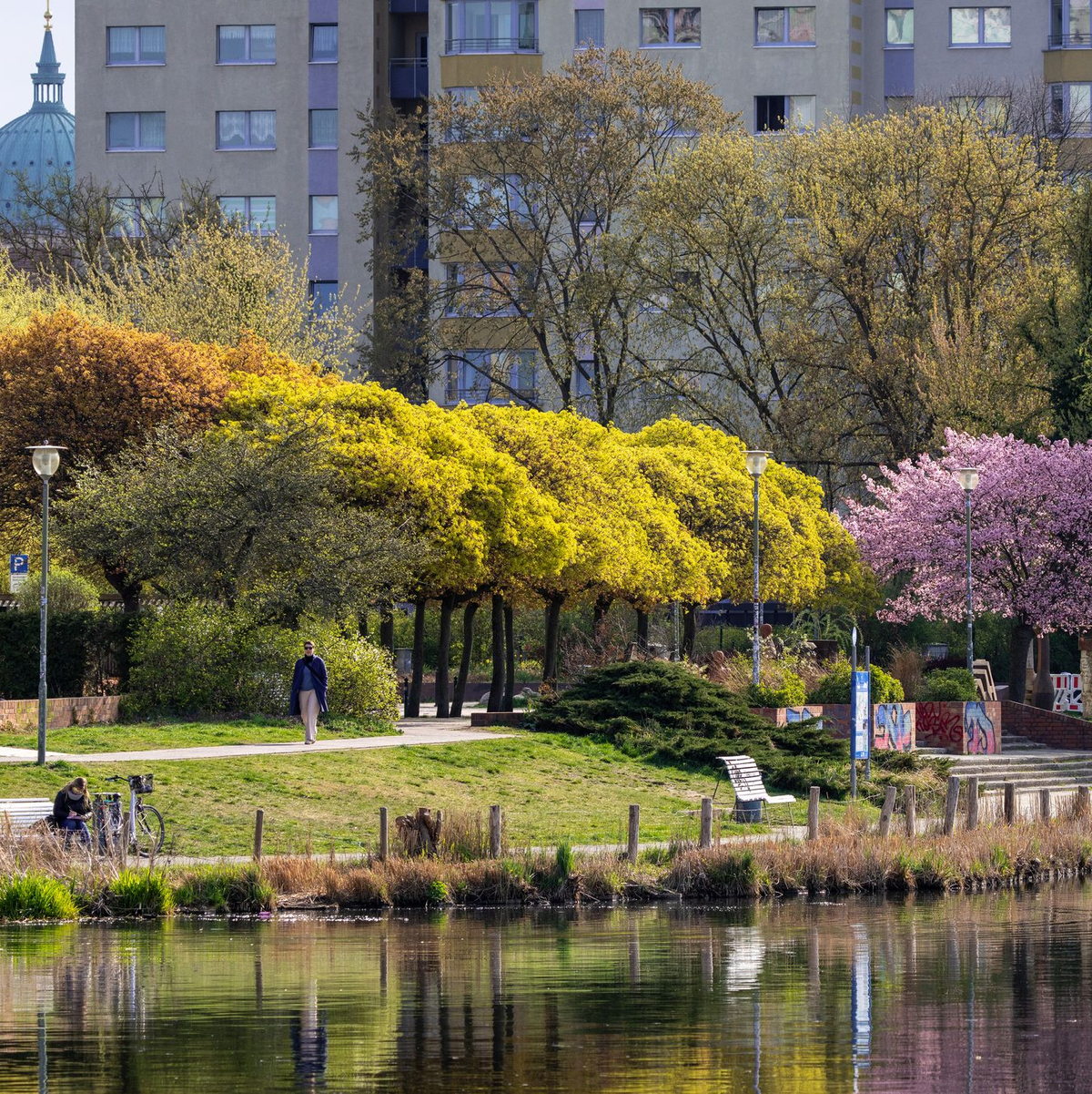 Grün und Wasser sorgen für Verdunstung. - Foto: Soeren Stache/dpa/ZB