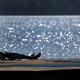 Ausflügler genießen auf dem Steg des Strandbades am Ammersee in Bayern den Sonnenschein. - Foto: Karl-Josef Hildenbrand/dpa