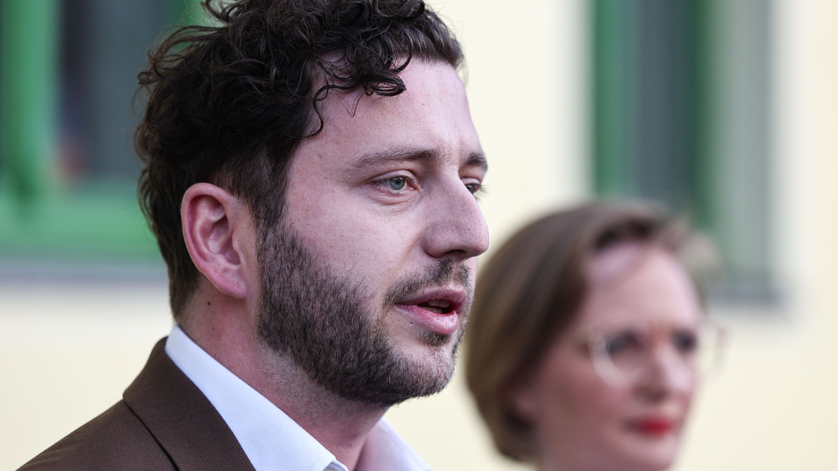 Die Grünen haben Fehler gemacht im Umgang mit Vorwürfen gegen ihren Bundestagsabgeordneten Stefan Gelbhaar - das räumt der Vorstand ein.  - Foto: Hannes P. Albert/dpa