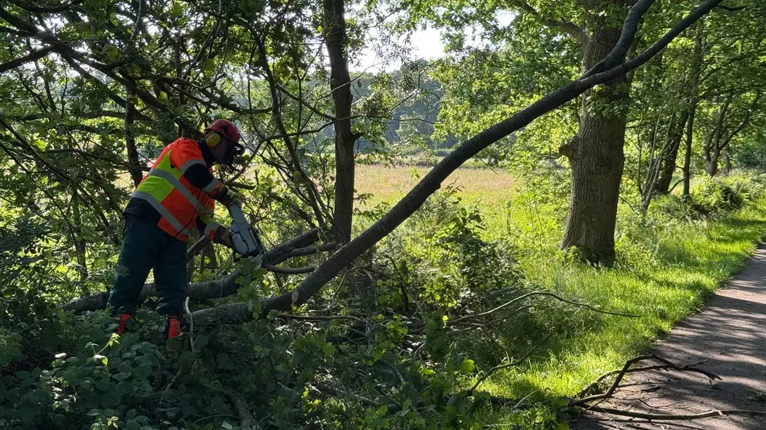 FW-AUR: Baum droht auf Radweg zu fallen - Bild: presseportal.de